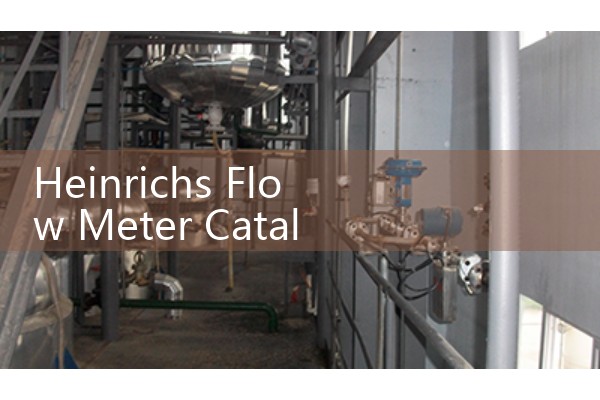 Heinrichs Flow Meter Catalog: Metal Tube Variable Area and Coriolis Transmitters for Heavy Industry